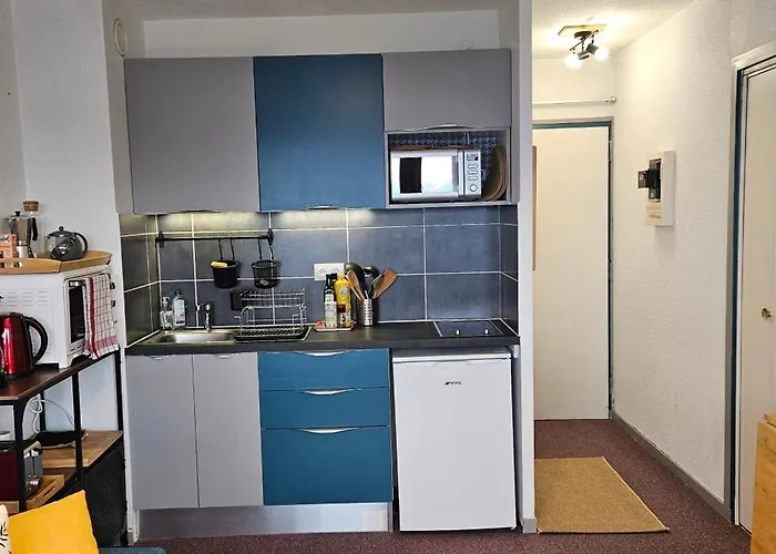 Appartement Studio Prapoutel *